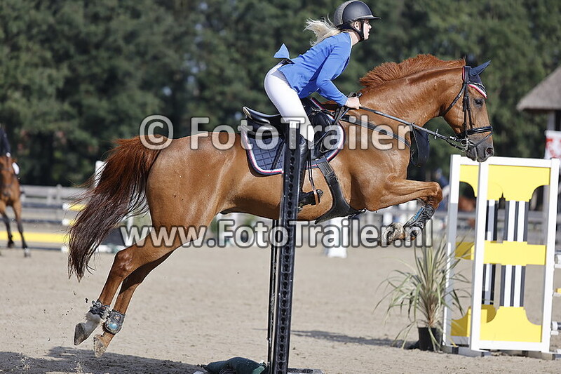 cassedy teeders makowski