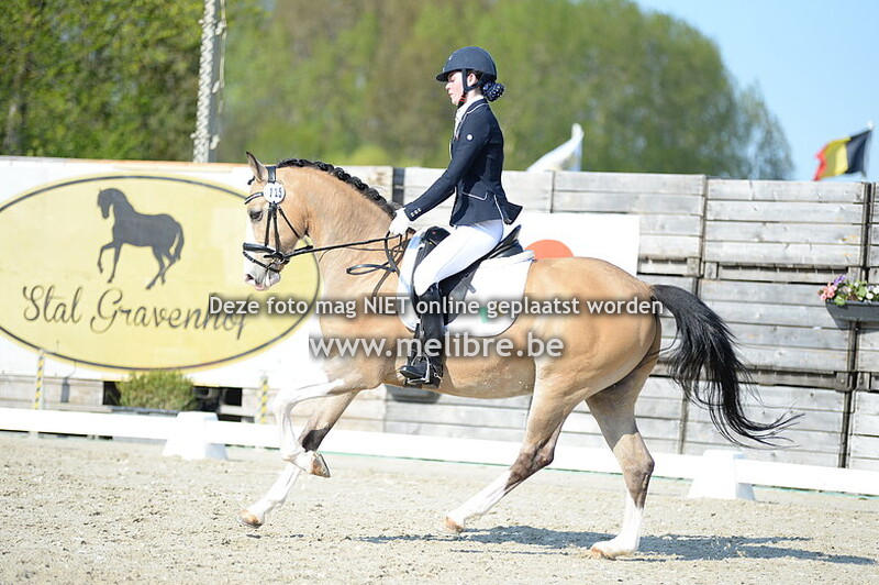 FRIDAY - Ponies Individual