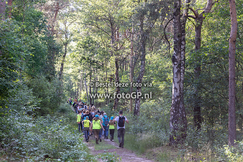 Wandel 4 daagse Eerbeek 2022