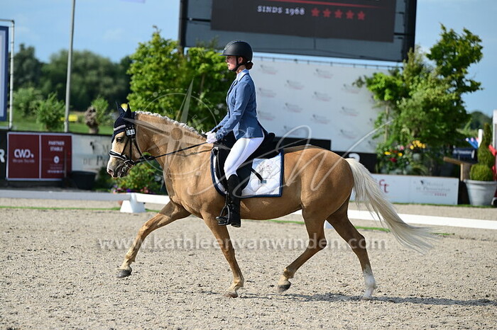 Lianne Haverkamp - Phoenix