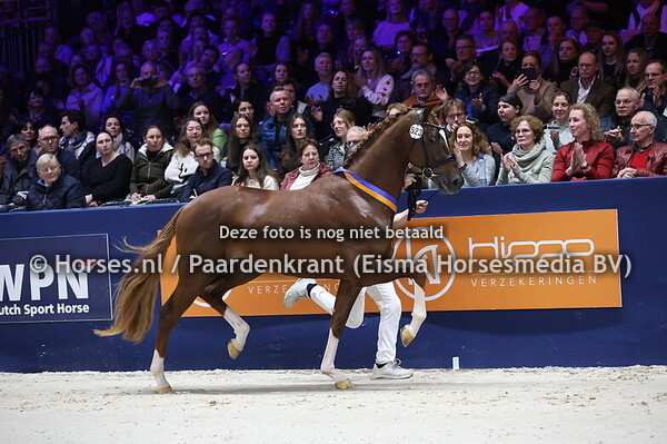 01-02-2025 KWPN HK 2e bez + presentatie dress