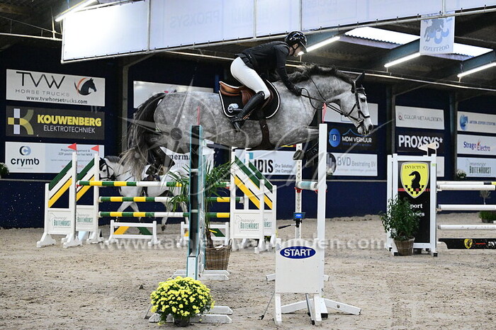 Hilke Mouws - Hejecomghorla van Beek Z