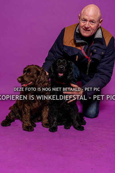 hond 03