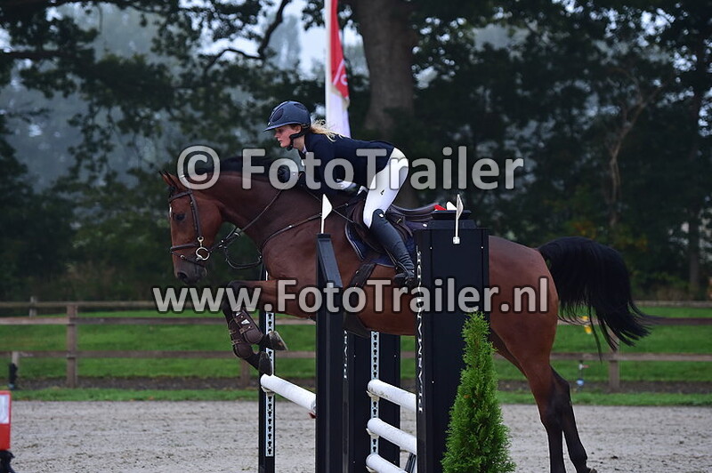 celeste van der poel