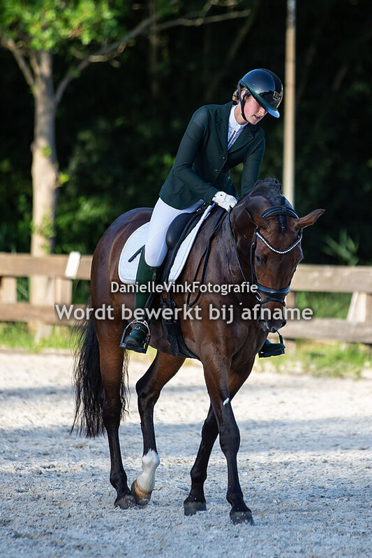 Fleur Kraak - Viking's Desperado