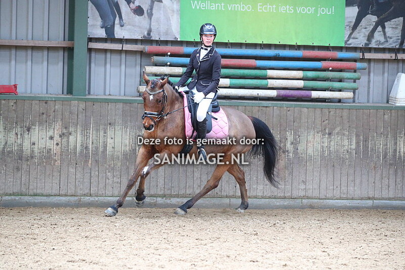 KNHS Regio Utrecht Stars Talentenselectie 24-03-2024 Dressuur 9.30 uur