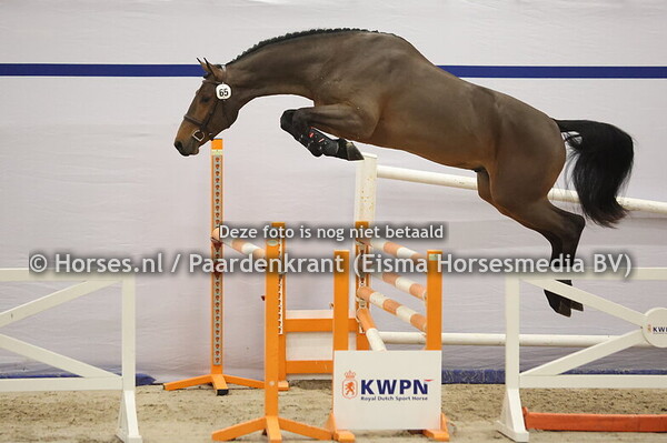 65 (Don't Touch Tij Hero x Chacco Blue)