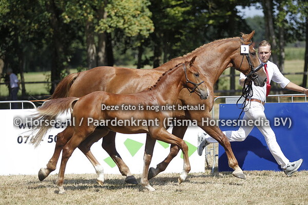 3 Nielson Mera C v Geniaal