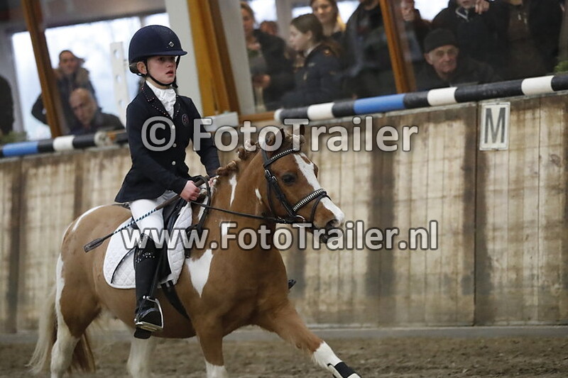 lieve van houte