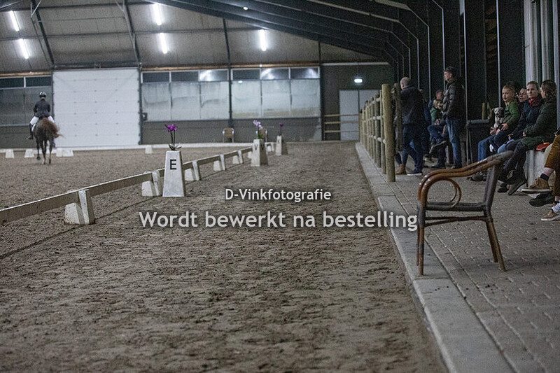 Klasse Z2 en ZZL paard