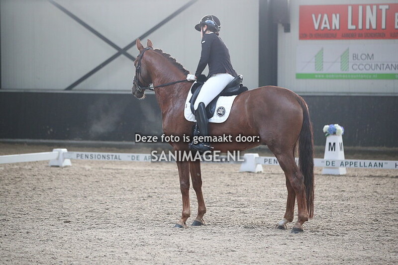 De Voornruiters Dressuur 13-12-2025 10.50-12.15  uur