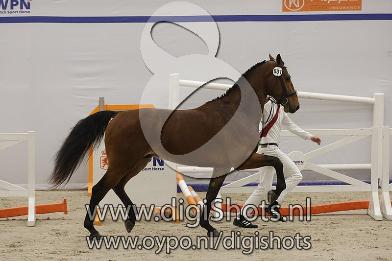 Royal Air v. Alexandro - 601