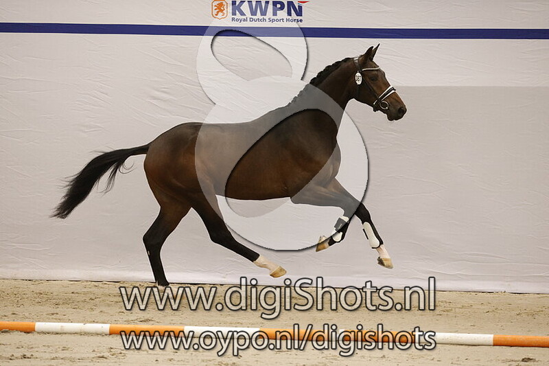 Saquon SSF v. Jovian