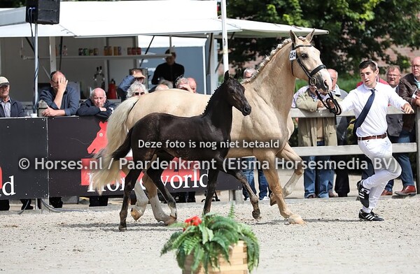 17-04-2016 15:05:56