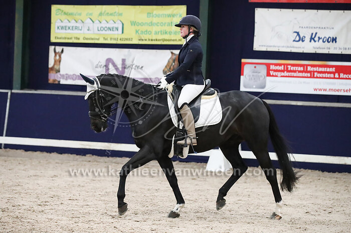 Annika van den Heerik - Gadesse