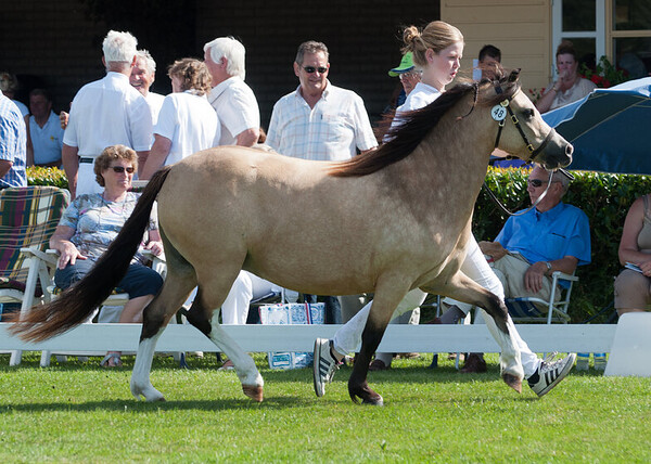 Centrale Keuring Kootwijk