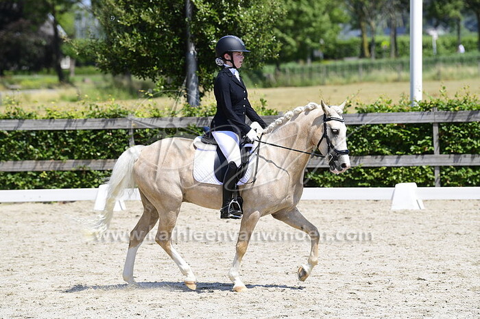 Fenna Illem - de Groot's Heer Olivier