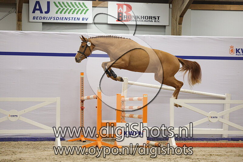 Tip Top van de Vrendt