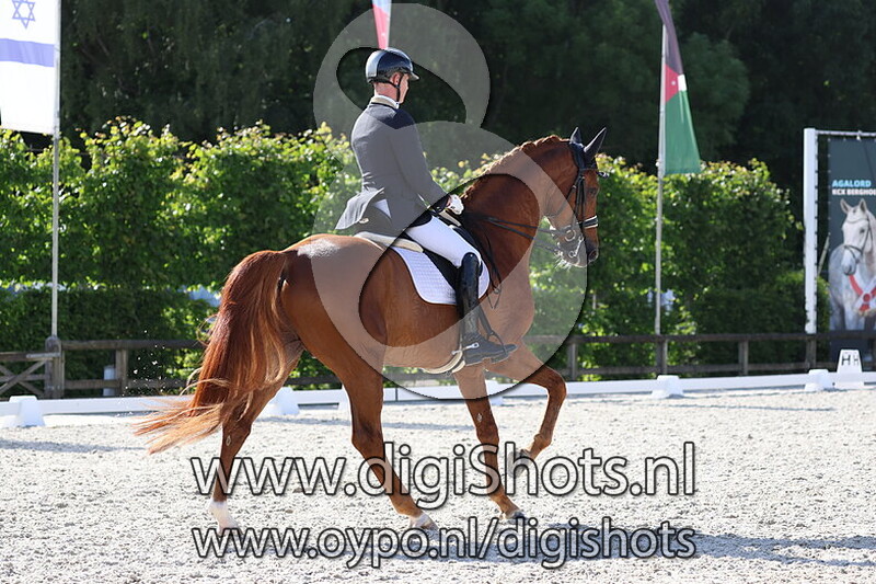 Sandor Hit van t Steenputtenhof