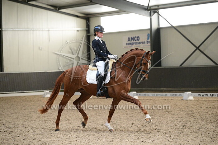 Eline Anker - Sans Souci's Vitus