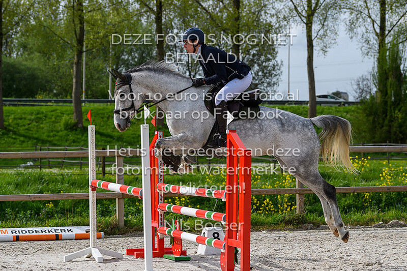 6 Paarden Klasse 100cm