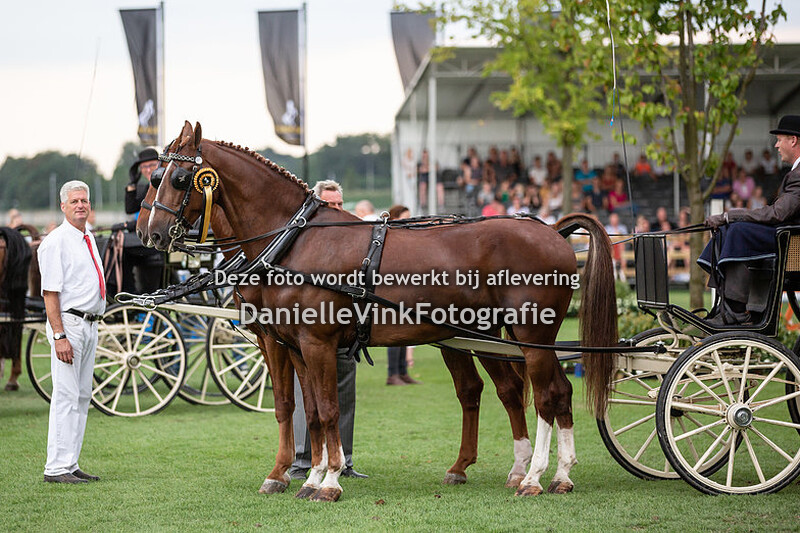 Tuigpaarden tweespan