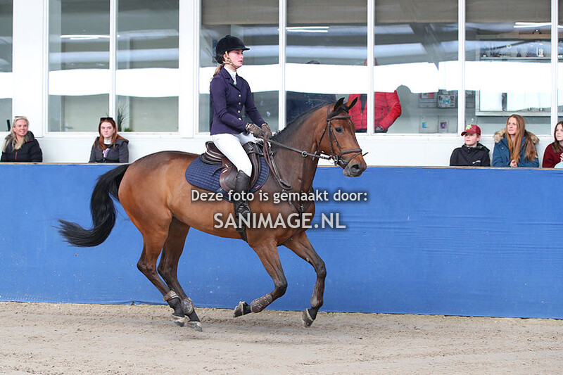 De Voornruiters de Meern  Springen 04-03-2022 L (groep 2)