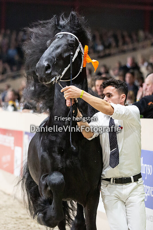 Hengstenkeuring 2020 Ulbran 502