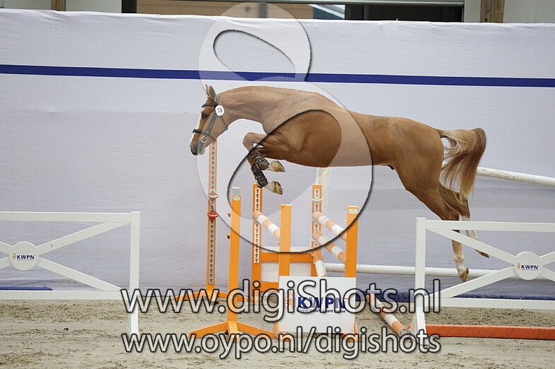 Take Off vd Laarse Heide