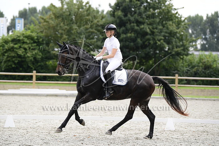 Denise van den Dries