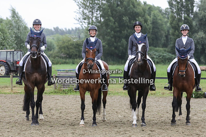 Z dressuur Blauw Gele Vendel