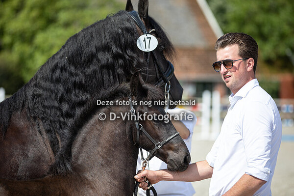 17. Asjemenou No Name Friesians