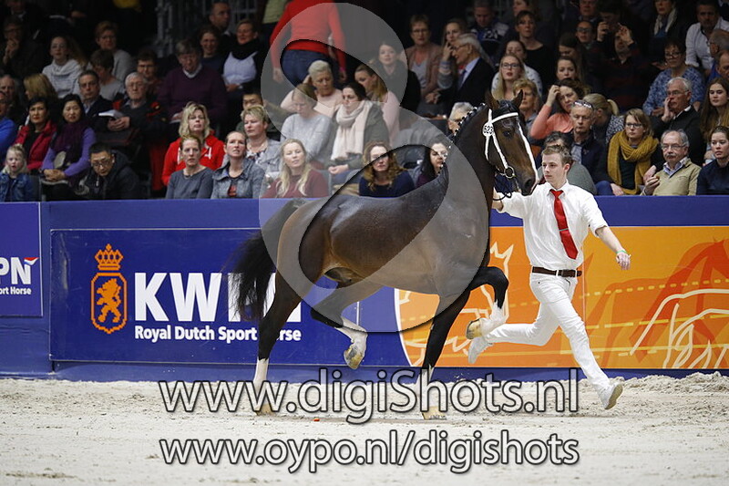 Liberator v. Vulcano