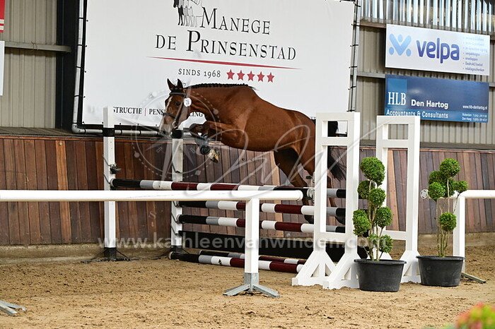 S. Doree RC - nr. 26