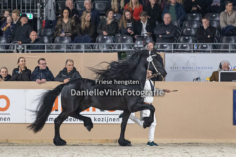 Hengstenkeuring 2023 Epke 474