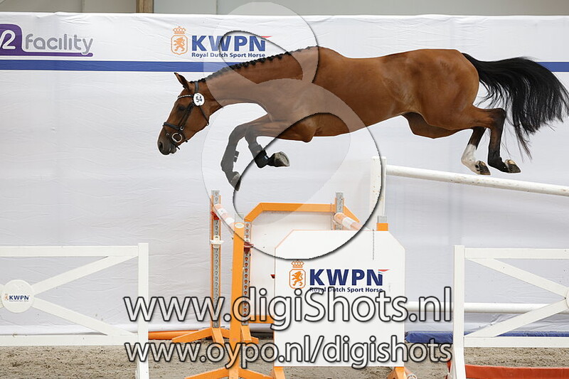 Pooh Bresco v. Eldorado van de Zeshoek