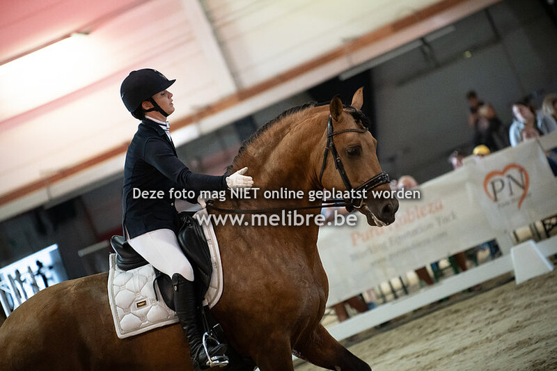 Seccion 9 y 10 functionalidad