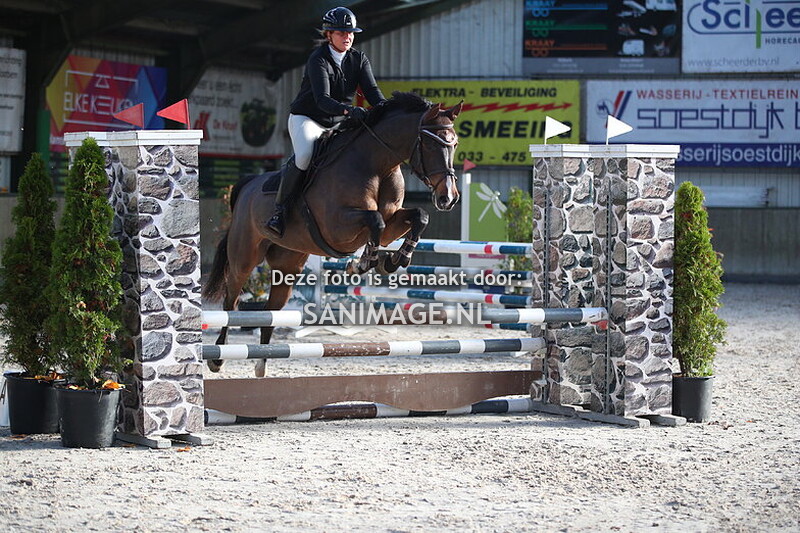 Stal Groenendaal springen Paarden 09-11-2025 70+80 cm