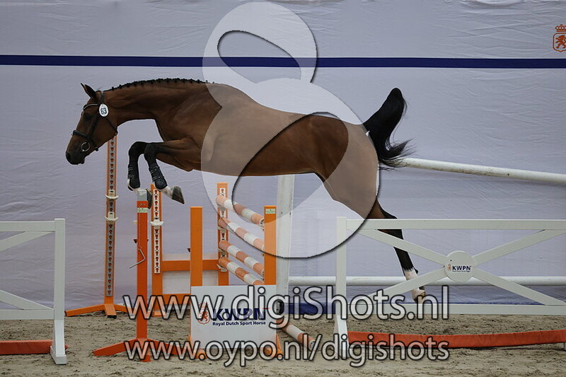 Symphony ES v. Chaccon Blue