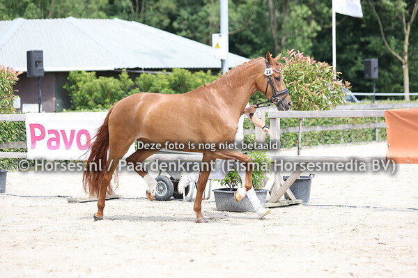 32 Siantoes SWv (My Blue Hors Santiano x Just Bianntoes)