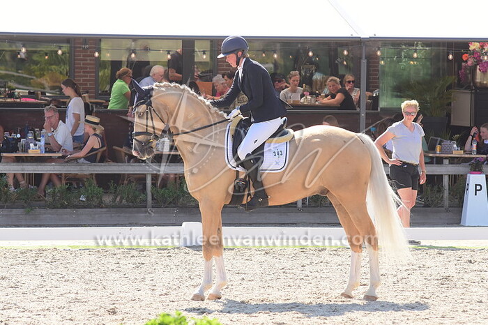 Kim van der Horst - Mr. Nice Guy