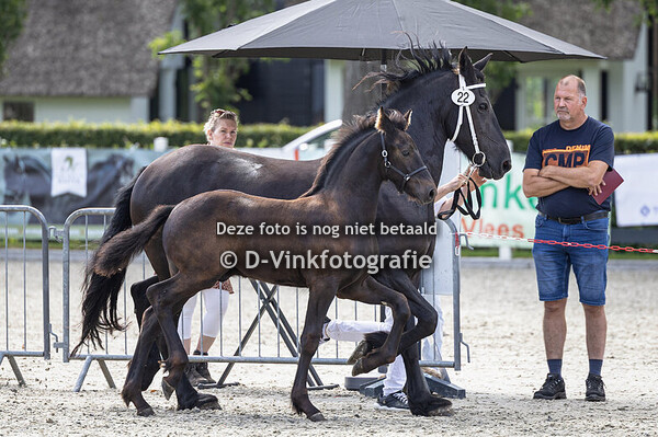 22. Fedde van het Hanselman