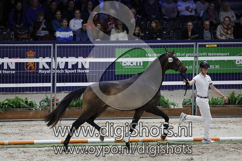 Ragnar v. So Perfect - 510