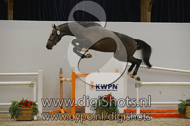 Never TR v. Hermantico