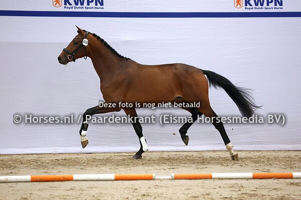 430  (Le Formidable x Expression)