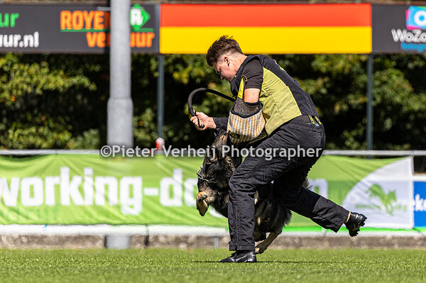 Lot nr 13 Petra Blaauwgeers-Looper