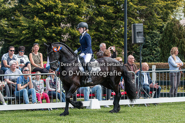 10. Bestgaand rijpaard 2