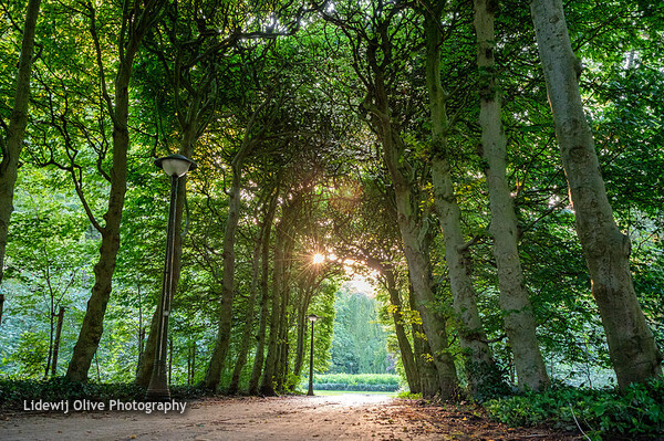 Enschede - G.J. van Heekpark