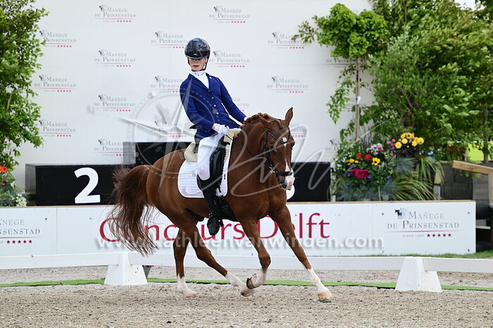 Saar Grootscholten - Nauty Boy