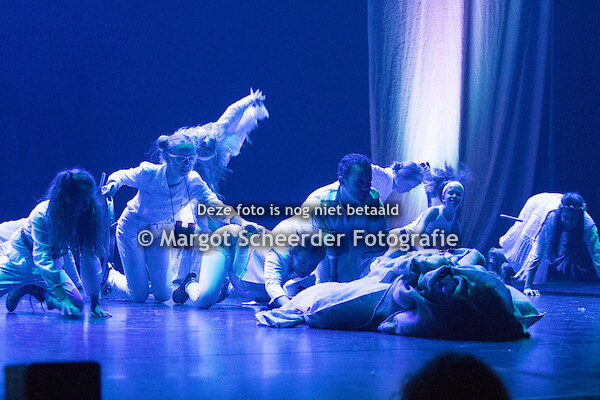 07. nieuwsgierige vrienden